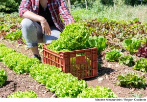 L'Occitanie accompagne aussi le développement des exploitations