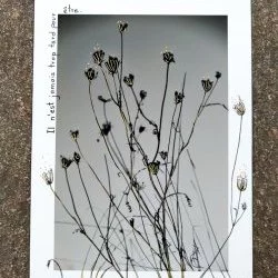 Etre #2 - Tirage photo sur papier mat et encre de Chine. Format 18x24 cm. - Création et photo Silvand Guillemette 