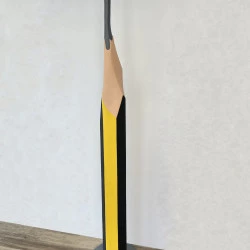 Julien GUDÉA - Julien GUDEA 