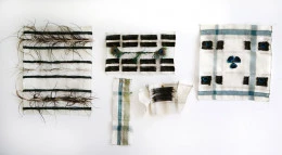 Recherche - Claire Schneider
