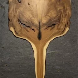 Masque 1 - Composition en bois d'If sur Ardoise - CGarcia 