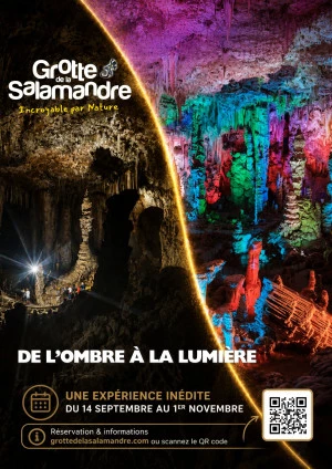 Affiche De l'Ombre à la Lumière