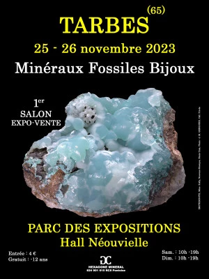Affiche 1er Salon Minéraux Fossiles Bijoux de Tarbes ( Hautes-Pyrénées)