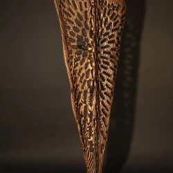 21SBDM0101 - Pin douglas / Acier - Jean-Michel RIBEYROLLES Sculpteur - Yoann PORTEJOIE Photographe 