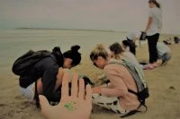 Affiche Nettoyage des macrodechets de la plage du Petit Travers