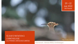 Affiche Séjour d'Initiation à l'Ornithologie