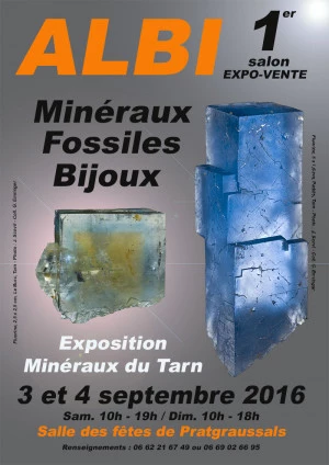 Affiche 1er SALON MINERAUX FOSSILES D'ALBI - TARN - MIDI-PYRENEES - FRANCE