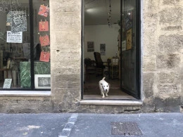 Atelier En Traits Libres