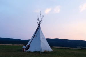 Affiche VEILLEE - FAIRE BANDE /LA CANOURGUE Association Perspective Nevski