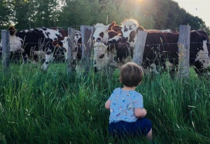 Affiche Festival Alimenterre