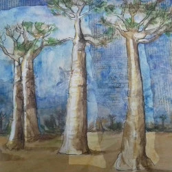 Les baobabs - techniques mixtes