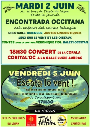 Affiche Total Festum Le Vigan