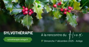 Affiche Sylvothérapie – Journée en forêt à la rencontre du Houx
