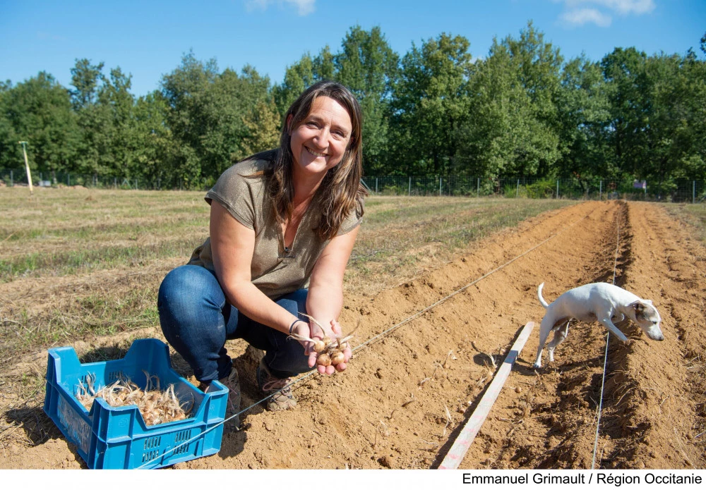 Parmi les nouvelles mesures votées lors de la commission permanente, le soutien renouvelé de l'Occitanie pour les productrices et producteurs