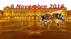 Affiche Première foire au miel de Toulouse