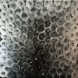 Deep Silver - Acrylique sur toile, 80x80 - Liberaj Cicoj 