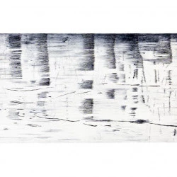 Sans titre (hommage - Burin et pointe sèche 100 x 50 cm - Caroline Garcia 