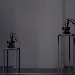 Cyclopes - 2018 — Bras robots, électronique, ordinateur, métal - Béatrice Lartigue 