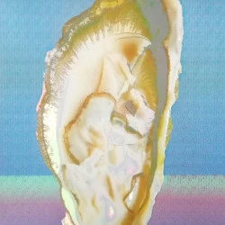 huitre lumière - peinture numérique