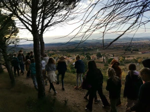 Affiche Soirée chauve-souris 
