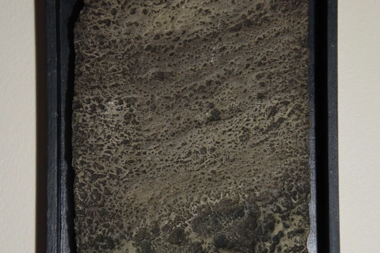 écume de mer - Céramique :34X23 cm - 150 