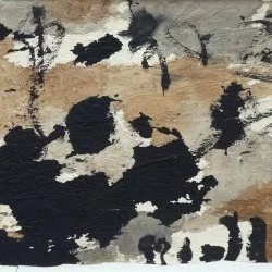 Elisabeth CHAMPIERRE - encres sur papier 49x26 cm
