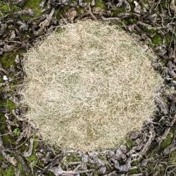 Mandala, In Ventis, 2023 - Installation in situ - Bois & herbe sèche - 350x350 cm - Ezam 