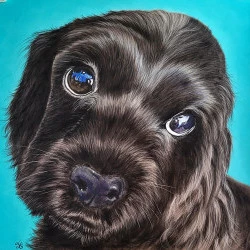 TENDRESSE - PORTRAIT D UN CHIOT COCKER NOIR - 400 EUROS 