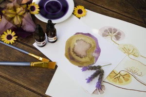 Affiche Stage - Fabrication d'encres végétales et cours de dessin botanique