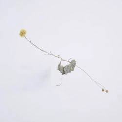 Respiration - mobile mural, 30 x 10 x 10 cm coquille d'Huitre (Ostreidae), tige de Lin (Linum usitatissimum), tige d'Immortelle des marais (Laphangium luteoalbum) et fil de fer, 2022 - Panot prod, MAC de Pérouges 
