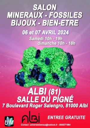 Affiche Salon minéraux, fossiles, bijoux de créateur