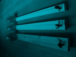 Affiche MONOCORDES / Semaine du Son