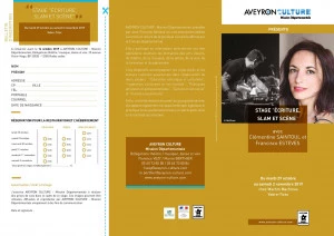 Affiche Stage slam/scène/écriture/théâtre