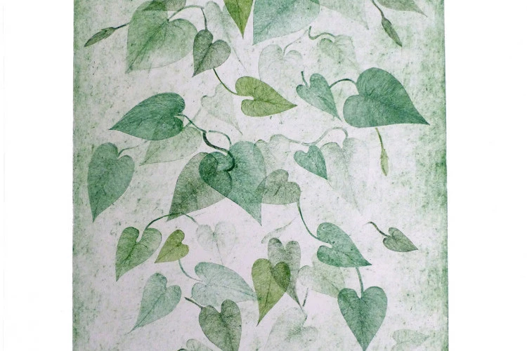 l'indésirable poésie du liseron - gravure sur carton - Florence Margery 