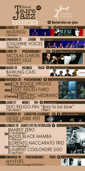 Affiche Terre de Jazz #8