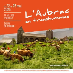 Affiche L'Aubrac en Transhumance
