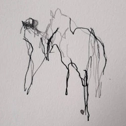 Sans titre - Cheval et sa gardienne - Corine Pagny 