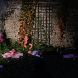 Paradisio - Performance et installation, 2021 - Yves Bartlett 