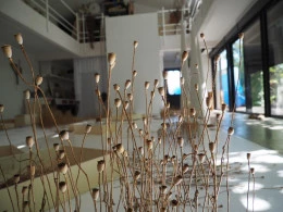 Christian DURANTE - <p>Atelier</p> - Christian Durante
