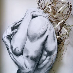 éther - Format 42,5X32,5 cm, 4,5 cm de profondeur - Dessin graphite, racines et branchages de plantes sauvages et domestiques stabilisées, phrases découpées extraites d'écrits autobiographiques, dans caisson vitré, encadrement bois noir - 2023 - Zabel Charrié 