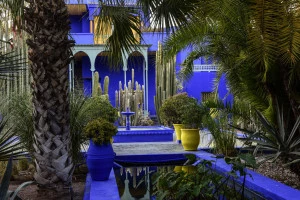 Affiche Exposition "Le Jardin Majorelle" photographies de Claire de Virieu