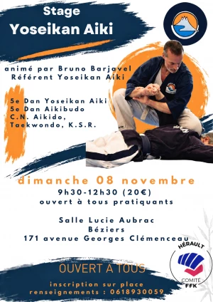 Affiche STAGE YOSEIKAN AIKI
