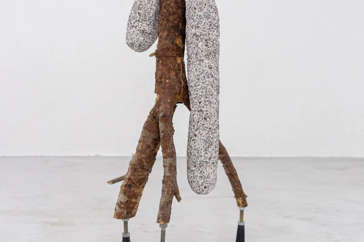 Concrétion hors-sol - 2022, bois, béton, acier, plastique, 81 x 38 x 27 cm - Photographie de Nassimo Berthommé 