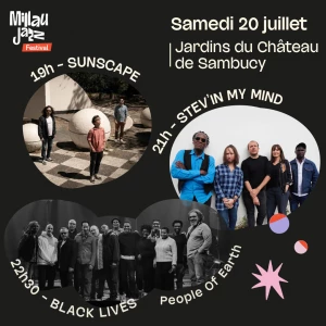 Affiche Concert Sunscape, Stev'in my mind et Black Lives