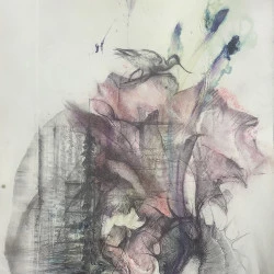 étang - Iris sous presse, aquarelle, crayon graphite et cendre de cigarette sur papier Arches satiné. 50 x 60 cm.