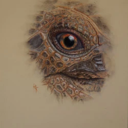 Tortuga - papier Pastelmat 30 x 40cm, divers bâtonnets et crayons