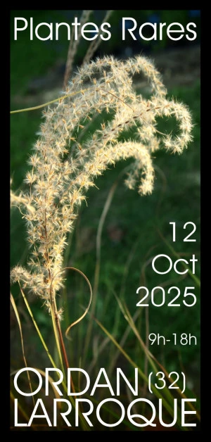 Affiche 23ème Journée des Plantes Rares