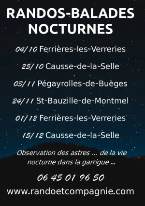 Affiche Rando-Balade Nocturne