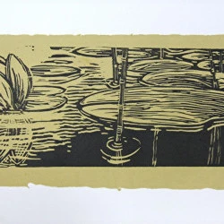 Nénuphars - linogravure