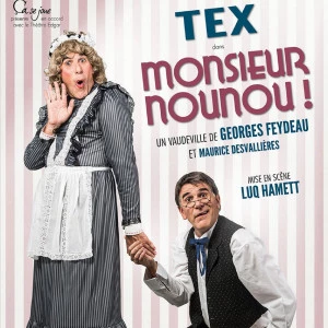 Affiche Monsieur Nounou